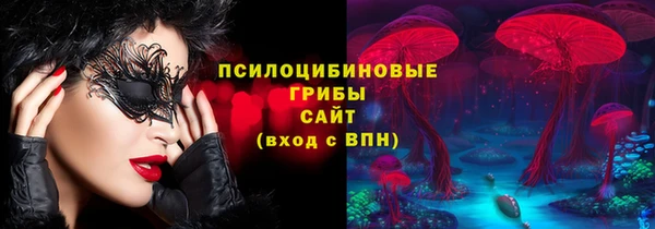 a pvp Алзамай