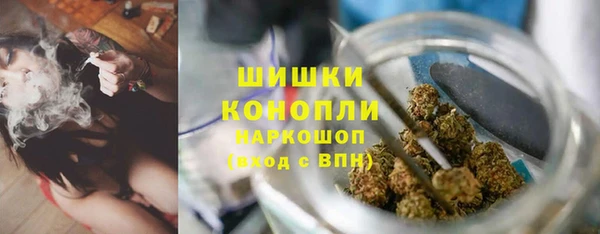 ГАЛЛЮЦИНОГЕННЫЕ ГРИБЫ Алексеевка