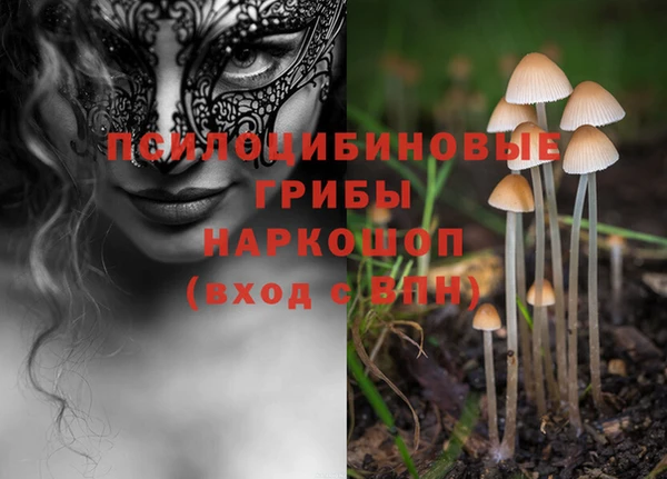 a pvp Алзамай