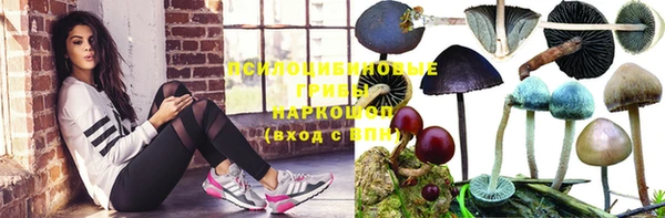 крисы Алексин