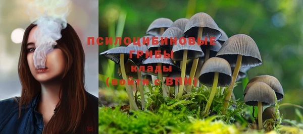 ГАЛЛЮЦИНОГЕННЫЕ ГРИБЫ Алексеевка